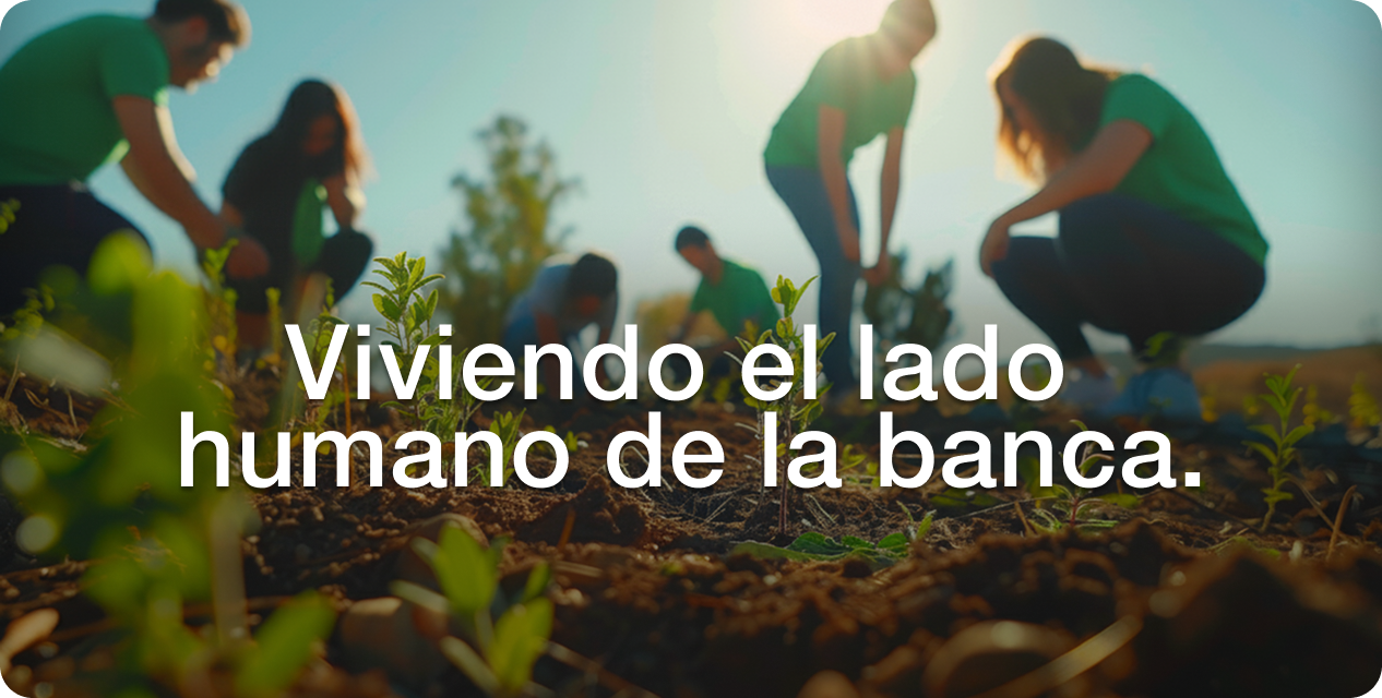 Volunatorios sembrando