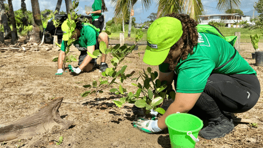 blog rescate costero