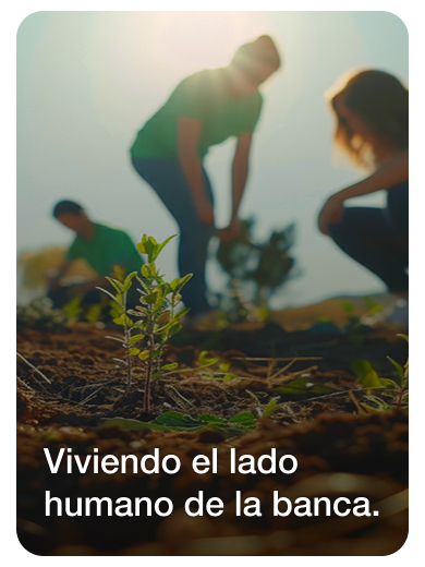 Voluntarios sembrando