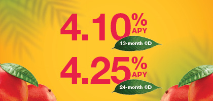 CD Campaign Mango