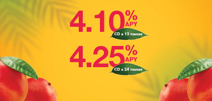 CD Campaign Mango
