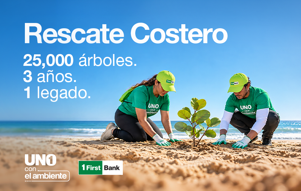 25,000 árboles después: el legado de Rescate Costero para Puerto Rico 