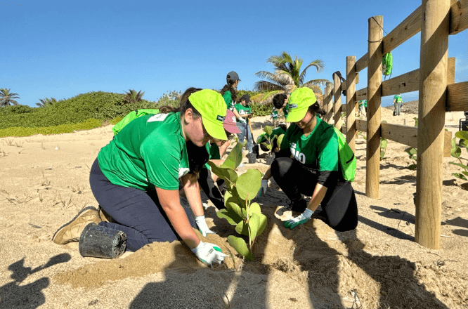 FirstBank proyecta una reducción de hasta 422 toneladas métricas de CO₂ anuales como resultado de la reforestación realizada durante sus dos años de Rescate Costero