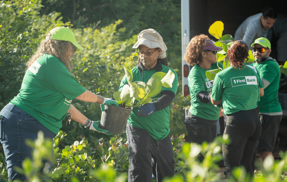 25,000 Trees Later: The Legacy of Rescate Costero in Puerto Rico 