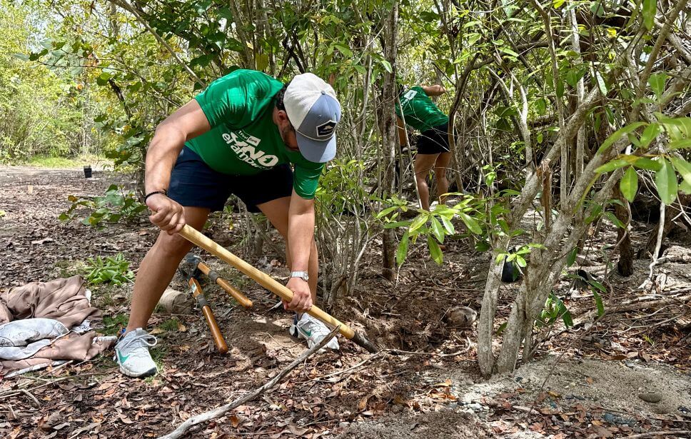 Mangroves and Coastal Resilience: Protecting Puerto Rico’s Coastlines