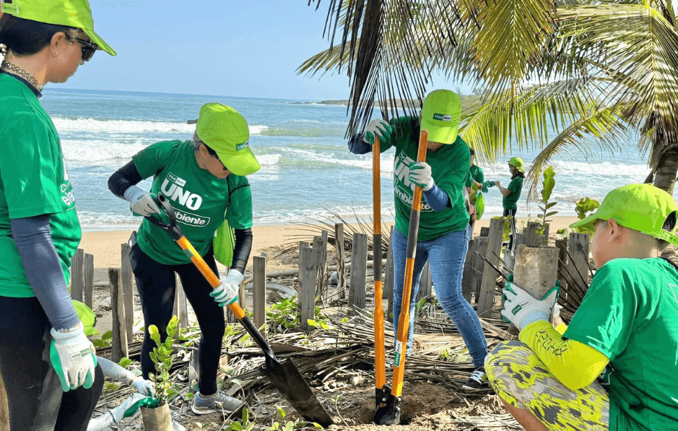 FirstBank impulsa siembra de árboles en Humacao para mitigar la erosión costera